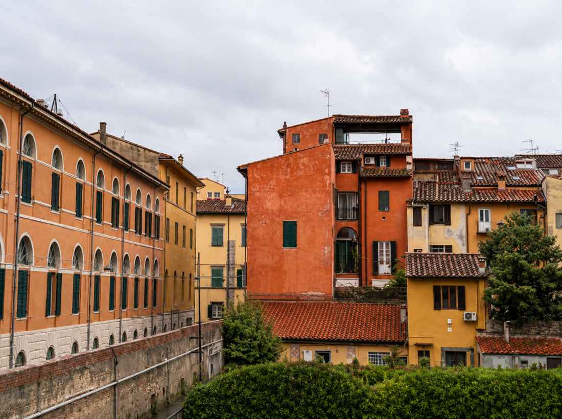 Tetti in cotto e ocra del centro storico di Pisa